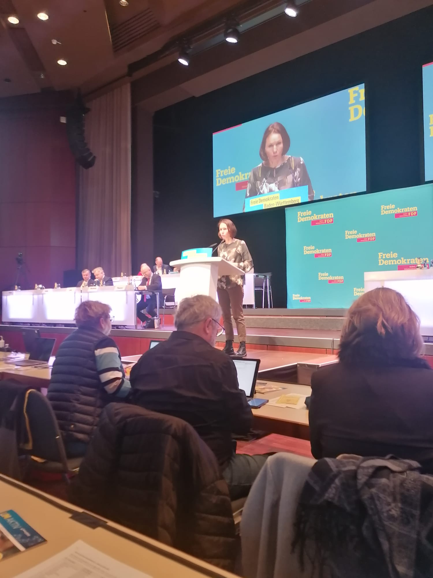 FDP Landtag Rede